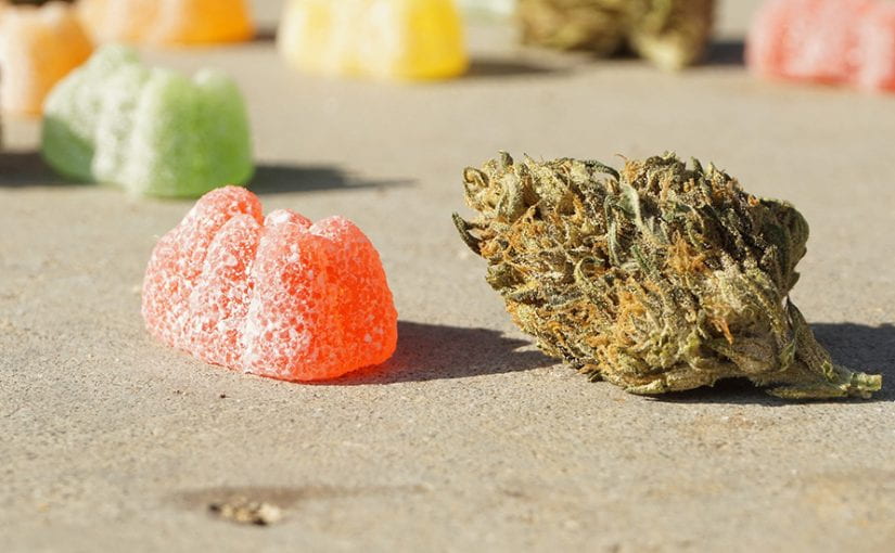What Is the Big Deal About CBD Gummies?
